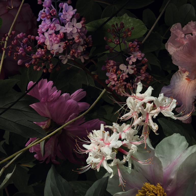 Original Fine Art Floral Photography by BIN YANG