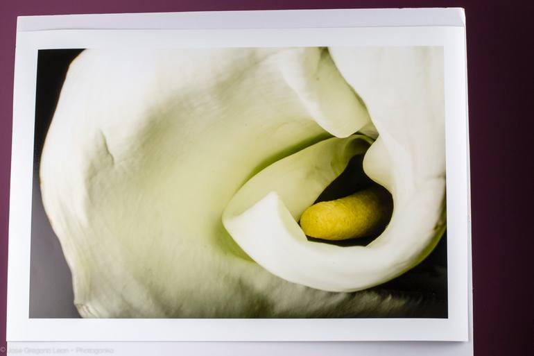 Original Abstract Still Life Photography by Jose Gregorio Leon