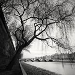 La Seine - Limited Edition 1 of 5 by Wilco Dragt