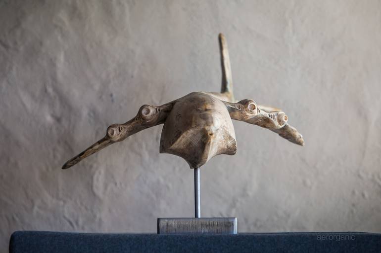 Original Abstract Aeroplane Sculpture by Adam Warwick Hall