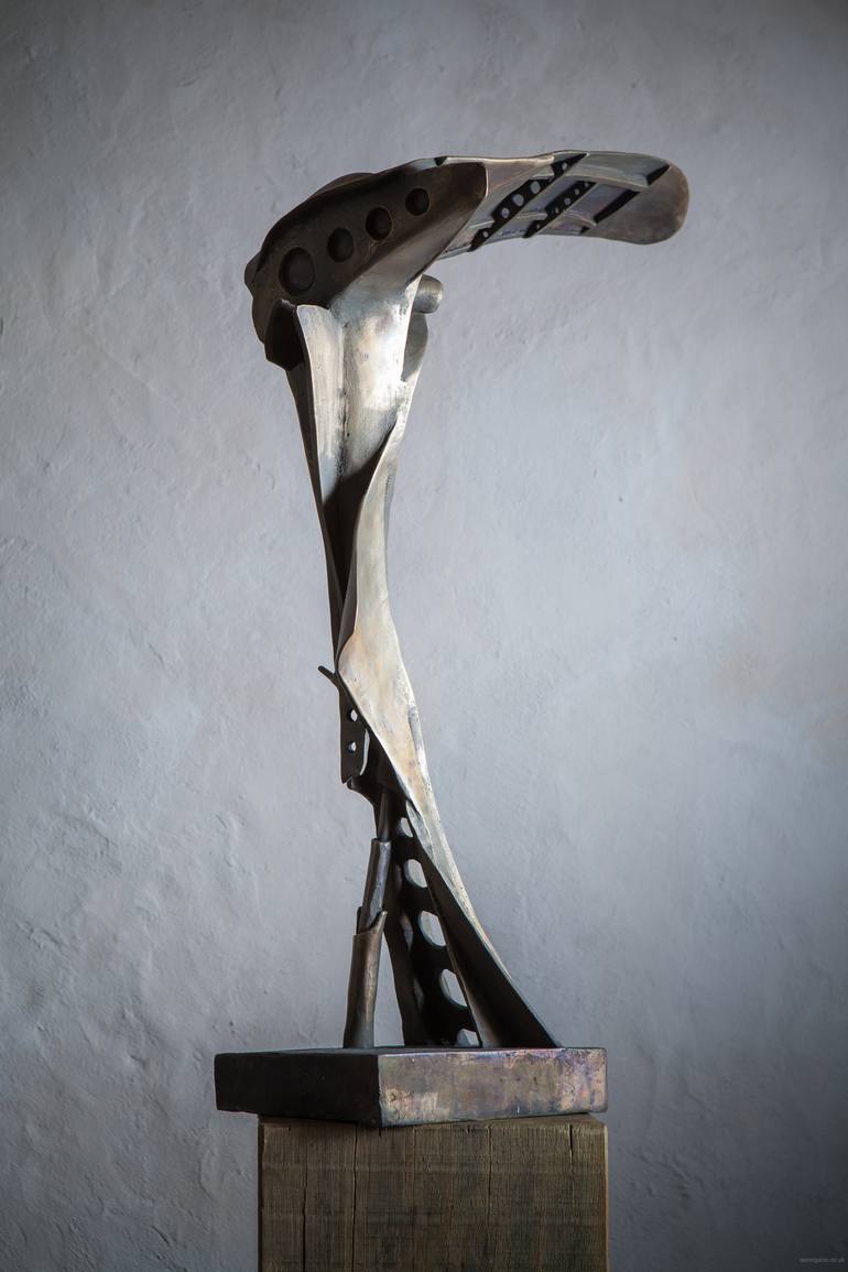 Original Modern Abstract Sculpture by Adam Warwick Hall