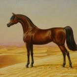 Arab Horse by Edilson Barbosa