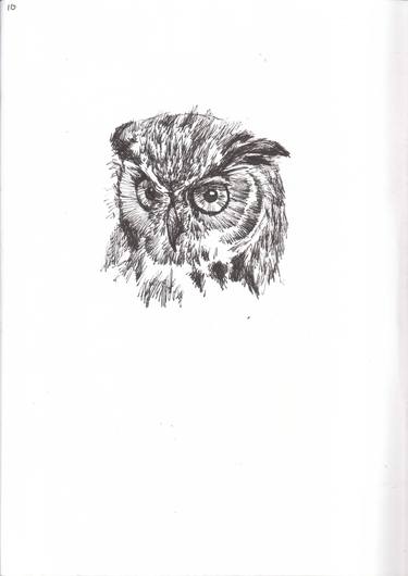 owl head sketch thumb