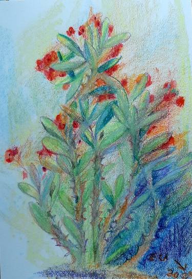 Original Floral Paintings by Elmira Herren