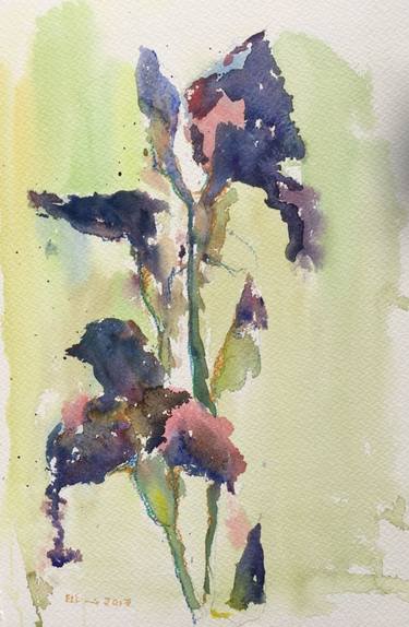 Original Botanic Paintings by Elmira Herren