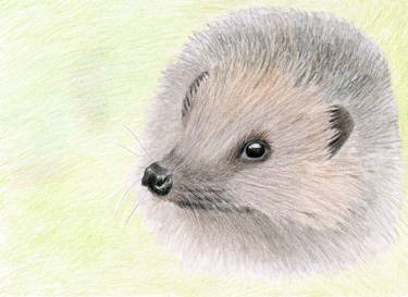 Original Animal Drawing by Linda Ursin