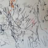 flowers in the mountain by Agrimil Molili