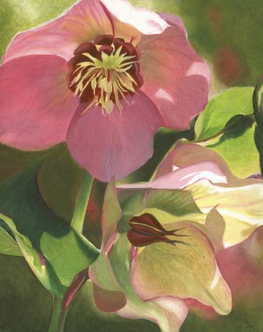 Original Floral Painting by Liz Tubb