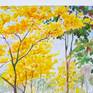 .In Hawaii is called Goldentree. the leaves will fall out. Flowering in the dry season The flowers will bloom full. In short, no more than 2 days will fall to the base of the yellow. Like a bright yellow carpet, This is flower in bloom very much  in  summer of thailand.