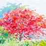 The peacock flowers tree blooms to bloom during April to May, the summer of Thailand. The tourists are generally appreciated along the road in Thailand, where the landscape is very beautiful.
