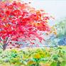 The peacock flowers tree blooms to bloom during April to May, the summer of Thailand. The tourists are generally appreciated along the road in Thailand, where the landscape is very beautiful.