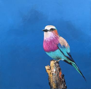 Lilac Breasted Roller thumb