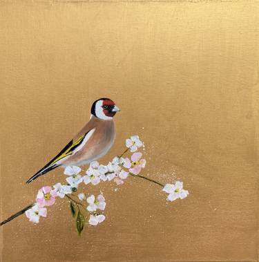 Goldfinch on Cherry Blossom thumb