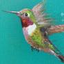 Hummingbirds have a long history of folklore and symbolism in native cultures. The Aztecs saw them as messengers between them and their ancestors or the gods. In Native American culture, Hummingbirds are seen as healers, and bringers of love, good luck and joy.
