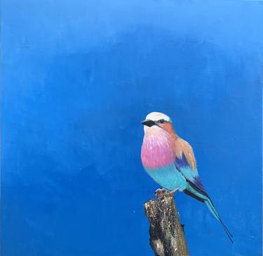 Lilac Breasted Roller thumb