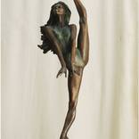 Flying ballerina by Nikolay Shatalov