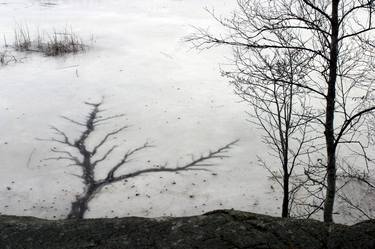 Print of Documentary Nature Photography by Robert Ekegren