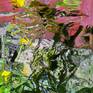 Collection Painterly photo art