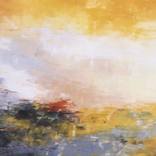 Collection oil on canvas