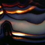 Collection Digital abstraction 