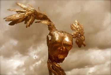 Golden Venus in Flight - Limited Edition 1 of 7 thumb