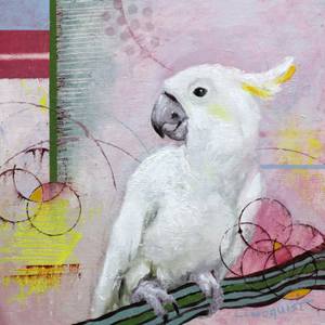 Untitled (Cockatoo)