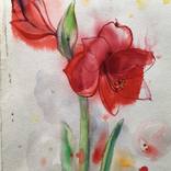 Amarillis by Signe Vanadzina