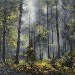 Collection Material & Mood