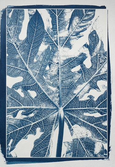 Cyanotype studies nº3 - Limited Edition of 20 thumb