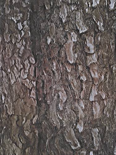 Original Abstract Tree Photography by Gonçalo Castelo Branco