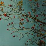 Blooming by Oksana Olyva