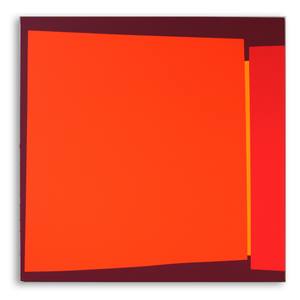 Collection Miami Artists