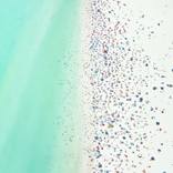 Collection In Celebration of Summer