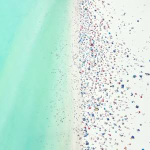 In Celebration of Summer