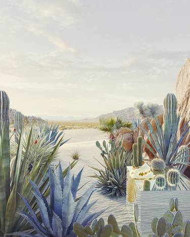 Still Life # 1 (Desert Oasis) - Limited Edition of 9 image