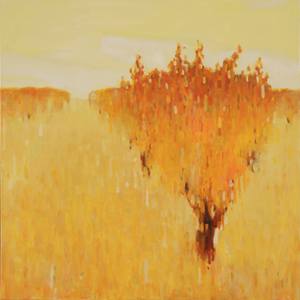 Collection Fall Foliage