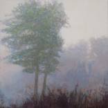 Collection Poetic Art