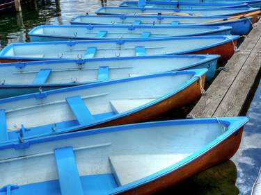 Blue skiffs at Henley thumb