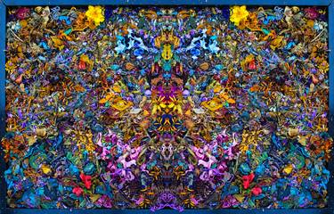 Original Fine Art Patterns Photography by Stephen Calhoun