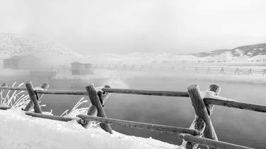 Jackson National Hatchery at -27°C with Elaine and Ducks #2 - Limited Edition 3 of 10 thumb