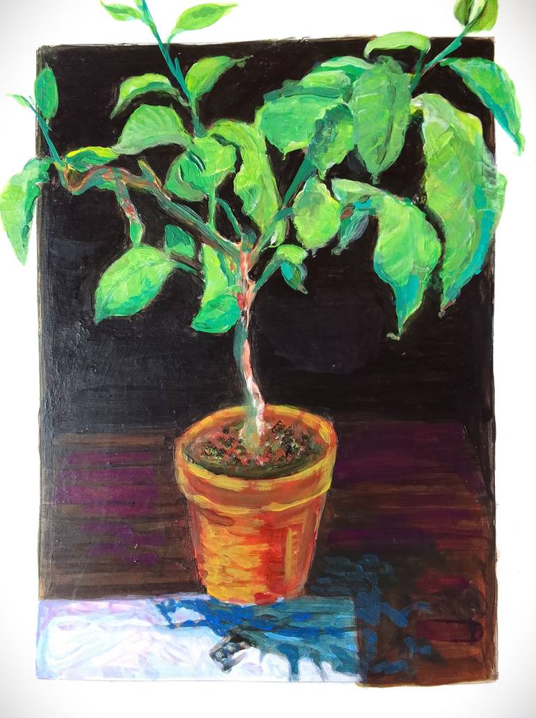 Original Floral Painting by Antonio Bocer  Illustration Art on Paper  099Cv100CitrusxlimonBonsai3AnosVerna