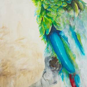 Collection Endangered Species series