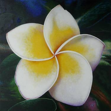 Original Floral Paintings by Alain Maillot