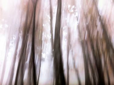 Original Abstract Photography by Alvise Busetto