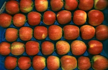 Polder, apples # 2. Edition 1 of 7. thumb