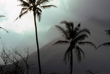 Mountain Mist, Oahu island thumb