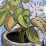 detail 2