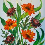 Flowers1 by Helen Polishuk