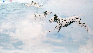 Dalmatian Jump - Limited Edition of 1 thumb