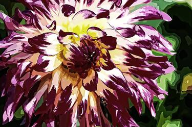 Aster Flower - Digital Art thumb